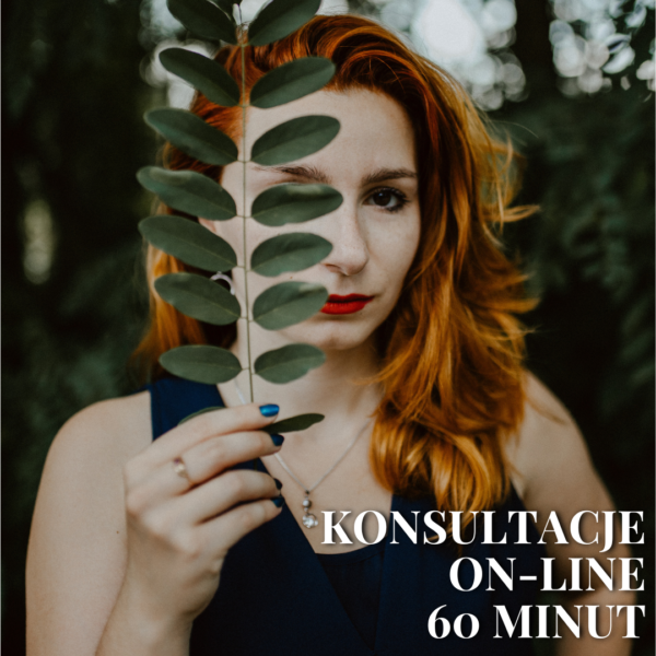 Jednorazowa konsultacja online